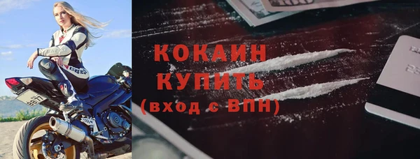 мяу мяу мука Тайга