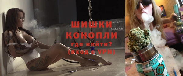 мяу мяу мука Тайга