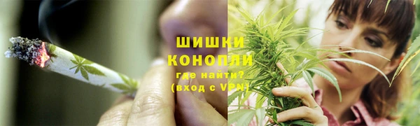 spice Сясьстрой