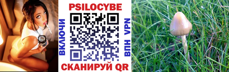 Купить где  Тейково  Галлюциногенные грибы прущие грибы 